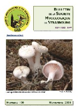 Couverture: Russula amoena Quélet