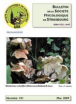Couverture: Russula amoena Quélet