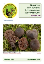 Couverture: Russula amoena Quélet