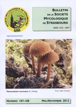 Couverture: Russula amoena Quélet