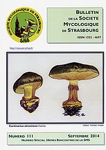 Couverture: Russula amoena Quélet