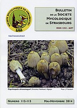 Couverture: Russula amoena Quélet