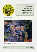Couverture: Russula amoena Quélet