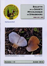 Couverture: Russula amoena Quélet