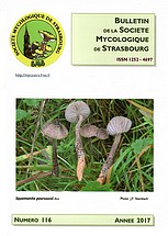 Couverture: Russula amoena Quélet