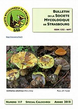 Couverture: Russula amoena Quélet