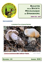 Couverture: Russula amoena Quélet