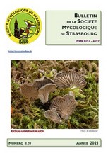 Couverture: Russula amoena Quélet