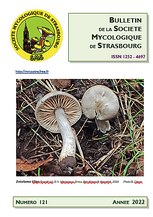 Couverture: Russula amoena Quélet
