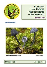 Couverture: Russula amoena Quélet