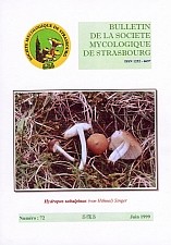 Couverture: Hydropus subalpinus (von Hhnel) Singer