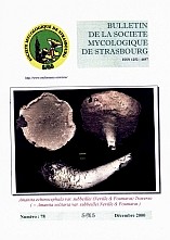 Couverture: Amanita echinocephala var.subbeillei (Neville & Poumarat) Traverso