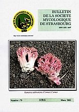 Couverture: Ramaria subbotrytis (Corner) Corner