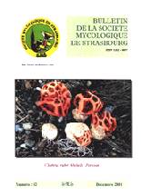 Couverture: Clathrus ruber Micheli:Persoon