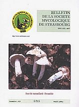 Couverture: Inocybe patouillardii