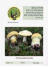 Couverture: Floccularia straminea (Kumm.) Pouz