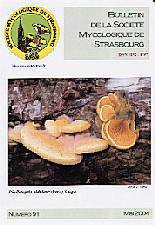 Couverture: Phyllotopsis nidulans