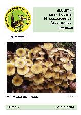 Couverture: Armillaria mellea
