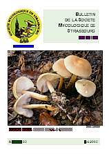 Couverture: Gymnopus aquosus