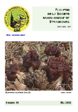 Couverture: Russula amoena Quélet